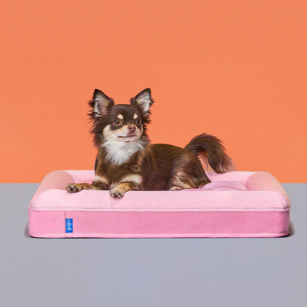 gugu ドギー 犬用ベッド Mサイズ グーグースリープ【公式】｜guguハギー｜愛犬と一緒にくつろげる