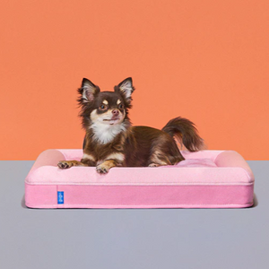 新色登場！【一生モノの愛犬用ベッド】グーグードギー
