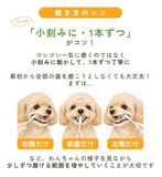 小型犬用 ソラデー 専用替ブラシ(4本入り) ｜水と光で磨ける愛犬用歯ブラシの交換用ブラシ【デンタルケア SOLADEY】