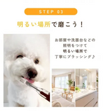 ソラデー5　小型犬用 歯ブラシ｜水と光で磨ける愛犬用歯ブラシ【デンタルケア SOLADEY】