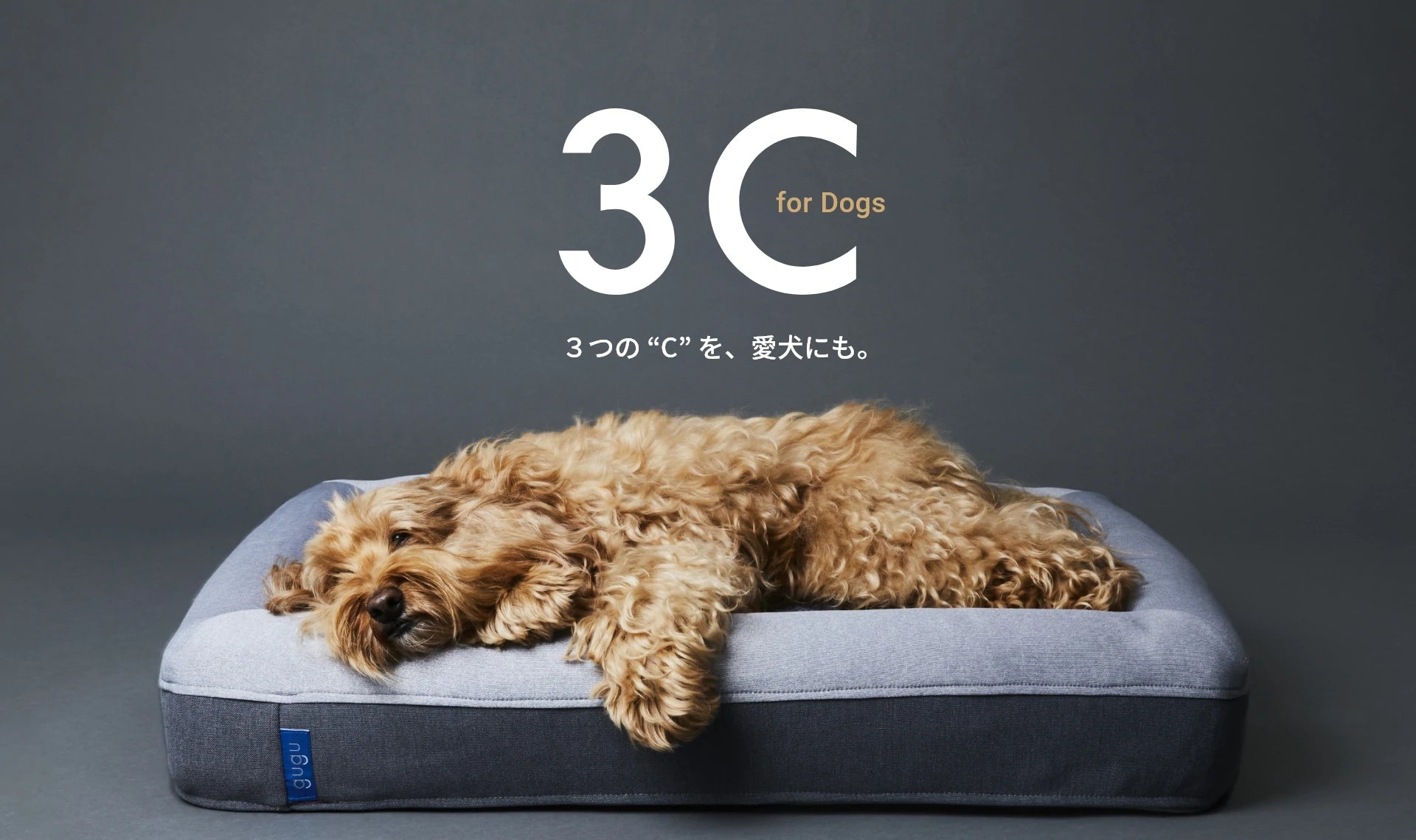 gugu ドギー 犬用ベッド - 犬用品